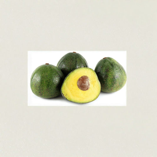 Nabal Avocado Tree – Persea americana ‘Nabal’ Grafted Live Tree | 3–4 Feet Tall | Includes Nursery Pot  Large Creamy Fruit | Bigger Trunk | Premium Variety