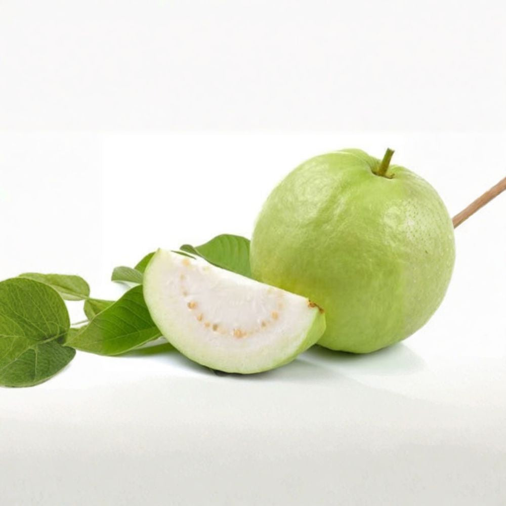 Thai Guava Tree – Psidium guajava Live Air-Layered Tree | 2 Feet Tall | Includes 3 Gallon Nursery Pot  Tropical Fruit Tree | Fast Growing | Sweet Crisp Guava