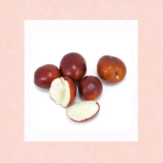 Li Jujube Tree – Ziziphus jujuba ‘Li’ Live Grafted Tree | 3 Feet Tall | Ships in 3 Gallon Pot  Very Large Fruit | Sweet Crisp Flavor | Cold Hardy Variety