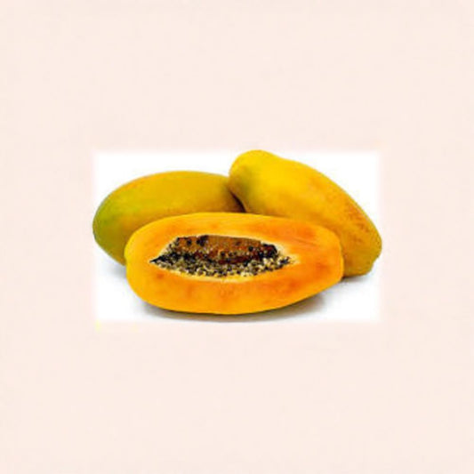 Papaya ‘Red Lady’ – Carica papaya Live Plant | 1 Foot Tall | Includes 6 Inch Nursery Pot  Dwarf Self Pollinating Variety | Sweet Tropical Fruit | Fast Growing