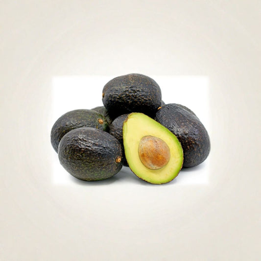 Hass Avocado Tree – Persea americana Live Grafted Tree | 3–4 Feet Tall | Bigger Trunk  Creamy Hass Avocados | Premium Variety | Strong Established Tree