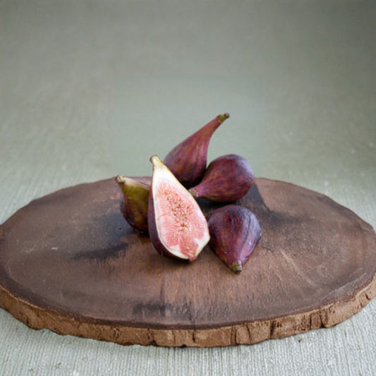 Fig ‘Celestial’ (Celeste / Sugar Fig) Live Fruit Plant | 2 Feet Tall | Shipped in 6 Inch Pot  Sweet Violet Figs | Cold Hardy & Heat Tolerant | Pest Resistant Variety