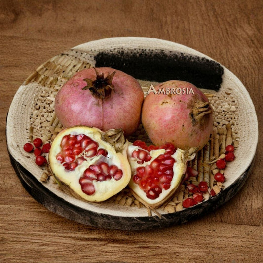Ambrosia Pomegranate Tree Live Fruit Tree | 1–2 Feet Tall | Shipped in 6 Inch Pot  Extra-Large Fruit | Sweet-Tart Purple Juice | Low Chill Variety