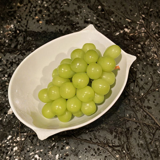 Shine Muscat Grape Cuttings – Vitis vinifera Live Plant | 3 Unrooted Cuttings | Rare Japanese Seedless Grape | Premium Sweet Fruit Vine