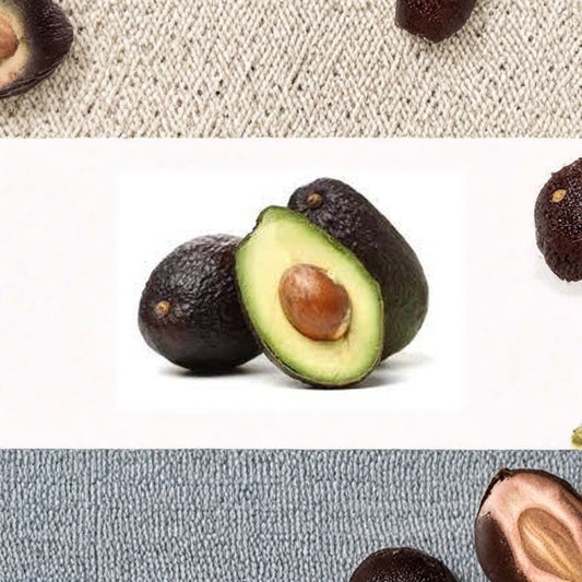 Lamb Hass Avocado Tree – Grafted Live Fruit Tree | 1–2 Feet Tall | Shipped in 6 Inch Pot  Late Season Hass Type | Rich Creamy Flavor | High Yield Variety