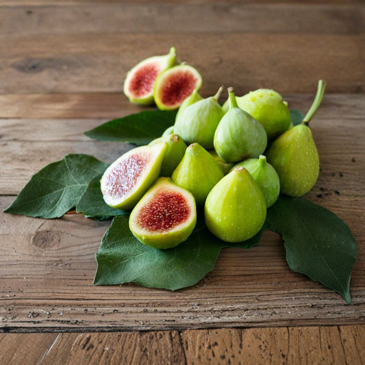 Green Ischia Fig Cuttings – Ficus carica Live Plant | 2 Unrooted Cuttings 6–8 Inch | Rare Fig Variety | Includes Willow Water Starter