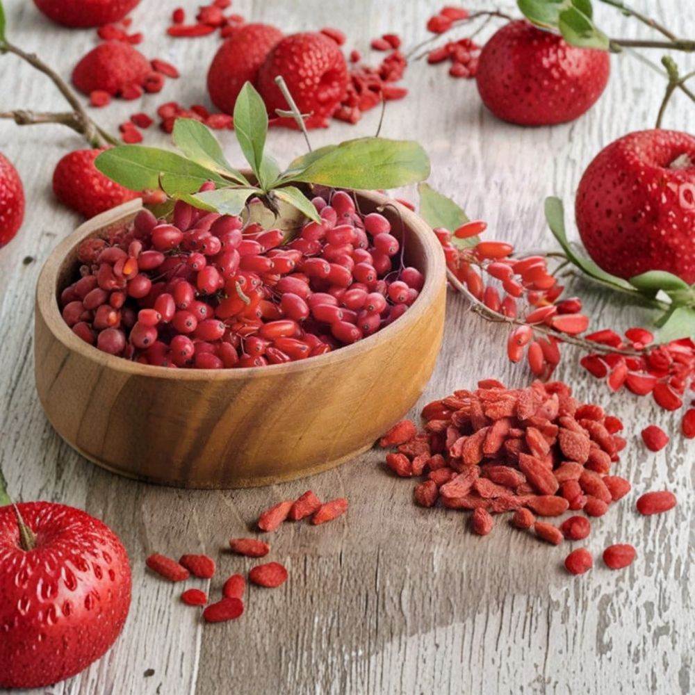 Goji Berry Plant – Lycium barbarum Live Plant | Rooted Cutting in Pot | Edible Superfood Berry | Hardy Fruit Shrub Starter