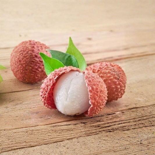 Lychee Tree – Litchi chinensis Live Air-Layered Tree | 1–2 Feet Tall | Ships in 6 Inch Pot  Sweet Tropical Fruit Tree | Backyard Orchard Favorite | High-Quality Airlayered Plant