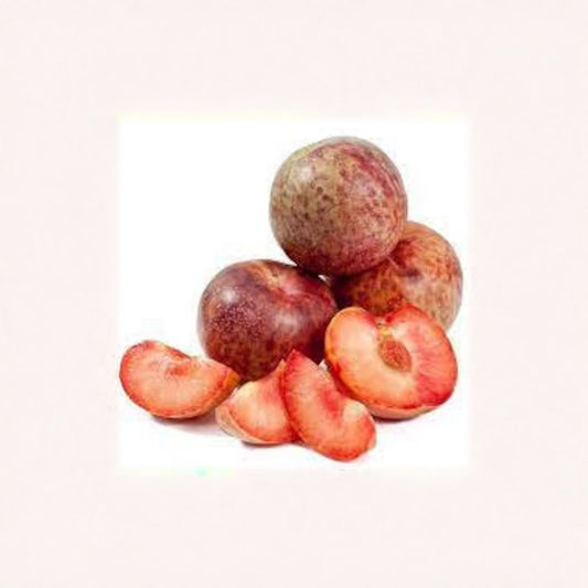 Dapple Dandy Plumcot – Prunus salicina × Prunus armeniaca Live Fruit Tree | 2–3 Feet Tall | Ships in 3 Gallon Pot  Plum-Apricot Hybrid | Freestone Fruit | Unique Cream & Red Flesh