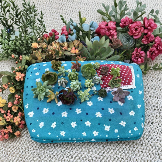 Mini Succulent Cuttings – 20 Variety Pack + 3 Free | 1–2 Inch Live Succulents | Fairy Garden Plants | Mixed Colorful Succulent Set