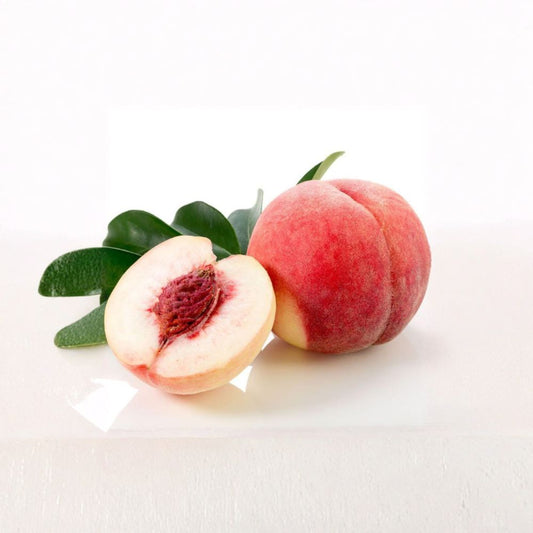 Babcock White Peach – Prunus persica ‘Babcock’ Live Fruit Tree | 3–4 Feet Tall | Ships in 3 Gallon Pot  Sweet Low-Acid Flavor | White Freestone Peach | Fresh Eating Favorite