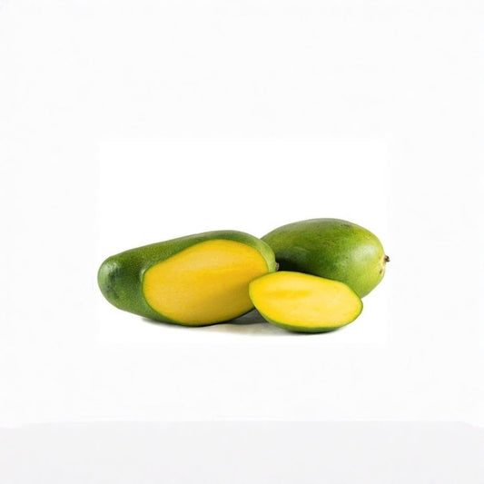 Keitt Mango Tree – Mangifera indica ‘Keitt’ Grafted Tree | 1 Foot Tall | Ships in 6 Inch Pot  Late Season Sweet Mango | Fiber-Free Flesh | Tropical Fruit Favorite