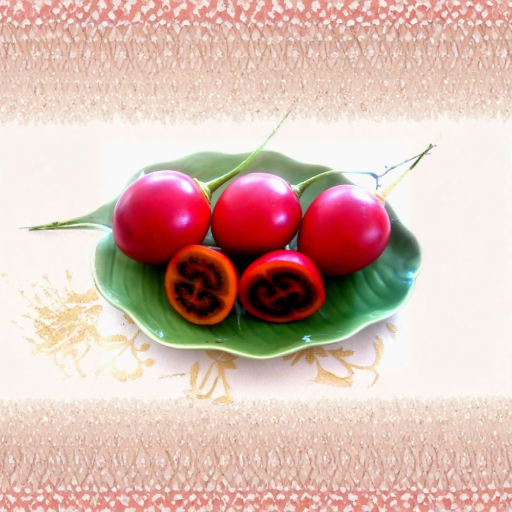 Tamarillo (Tree Tomato) – Cyphomandra betacea 240 Seeds | Fast Growing Subtropical Fruit Tree  Exotic Edible Fruit | Fragrant Flowers | High Yield Potential