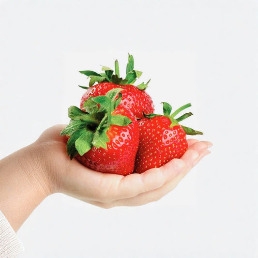 Giant Strawberry Seeds – Fragaria × ananassa 50+ Fresh Seeds | Non-GMO | Large Fruit Variety  Big Sweet Berries | Perennial Plant | Container Garden Friendly