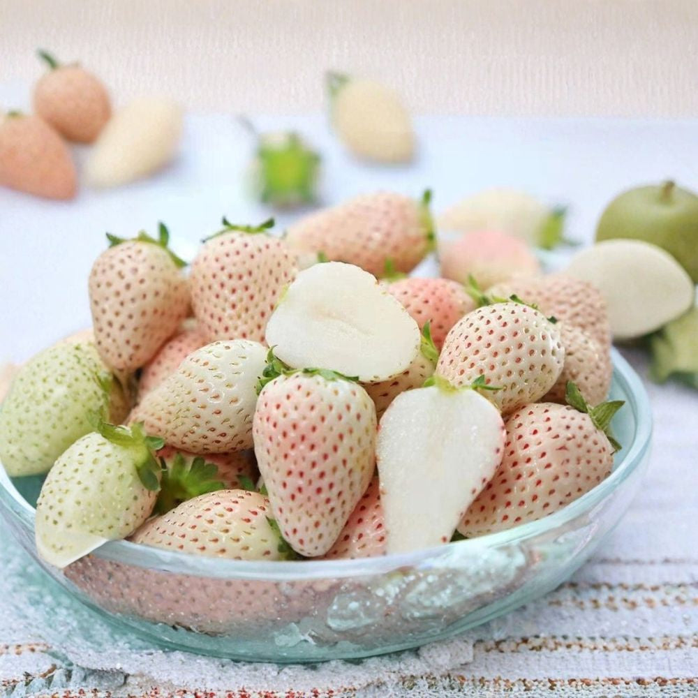 White Strawberry Seeds – Fragaria × ananassa 100+ Heirloom Seeds | Creamy White Fruit | Non-GMO  Pineberry Type | Tropical Sweet Flavor | Container Garden Friendly