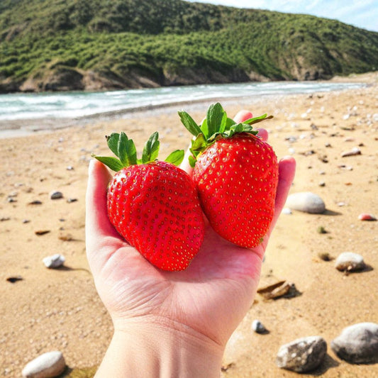 Giant Strawberry – Fragaria spp. 15 Heirloom Seeds | June Bearing | Non-GMO  Huge Red Berries | White Spring Flowers | Sweet & Juicy