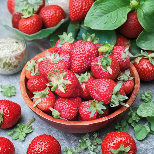 Seascape Strawberry Seeds – Fragaria × ananassa ‘Seascape’ 100 Organic Seeds | Heat Tolerant | Perennial Variety  Large Sweet Berries | Day-Neutral Type | Container Friendly