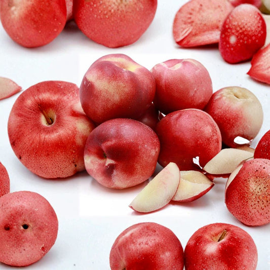 Nectarine ‘Snow Queen’ – White Flesh Nectarine Live Fruit Tree | 4 Feet Tall | Includes 3 Gallon Pot  Self-Fertile | Sweet White Nectarine | Backyard Orchard Favorite