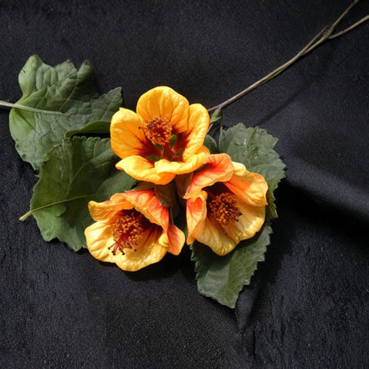 Abutilon ‘Painted Bells’ – Flowering Maple Live Plant | 1–2 Feet Tall | Includes 6” Nursery Pot  Golden Orange Bell Blooms | Year-Round Flowers | Great for Patio & Garden