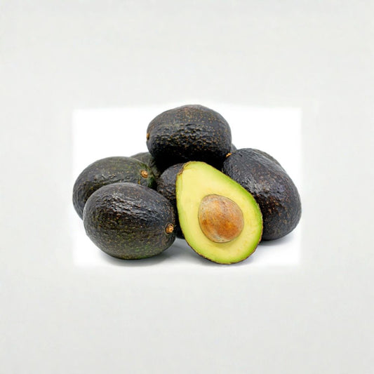 Hass Avocado – Persea americana Live Grafted Tree | 2–3 Feet Tall | Includes 3 Gallon Pot  Creamy Rich Fruit | Popular Commercial Variety | Backyard Orchard Ready