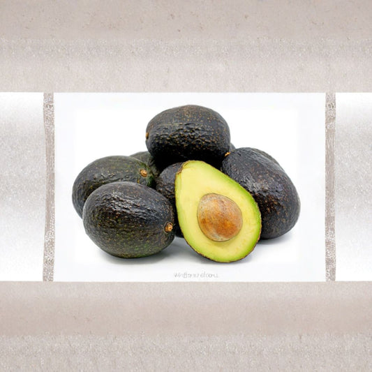 Hass Avocado – Persea americana Live Grafted Tree | 2–3 Feet Tall | Includes 3 Gallon Pot  Creamy Rich Fruit | Popular Variety | Backyard Orchard Ready