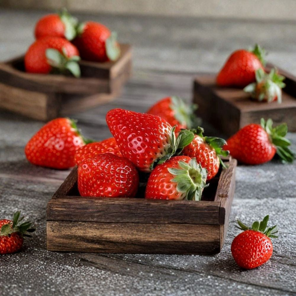 Red Strawberry Seeds – Fragaria × ananassa 100+ Heirloom Seeds | Big Fruit Variety | Non-GMO  Perennial Fruit Plant | Great for Containers | All-Season Production