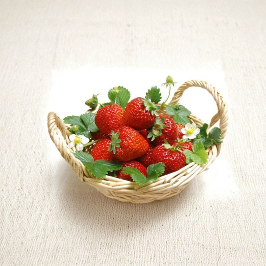 Red Strawberry – Fragaria × ananassa 40 Seeds | Perennial Variety | Container Friendly  Sweet Large Fruit | White Flowers | Home Garden Favorite