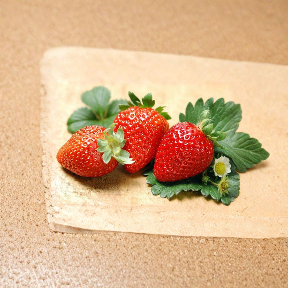 Giant Hawaiian Strawberry Seeds – Fragaria × ananassa 1000+ Heirloom Seeds | Large 55g Fruit | Non-GMO  Bulk Value Pack | Perennial Fruit Plant | Container Garden Friendly