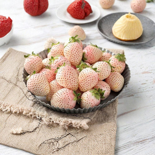 White Strawberry Seeds – Fragaria × ananassa 100+ Heirloom Seeds | Pineberry Type | Non-GMO  Creamy White Fruit | Tropical Sweet Flavor | Container Garden Friendly