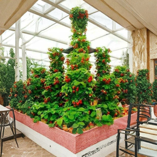 Vertical Climbing Strawberry – Fragaria spp. 100 Fresh Seeds | USA Grown | Ideal for Trellis Growing  Space-Saving Berry Plant | Hanging Baskets | Container Friendly