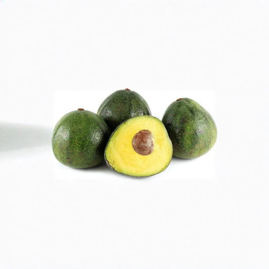 Avocado Tree – Persea americana Live Grafted Tree | 2 Feet Tall | Includes 6 Inch Nursery Pot  Creamy Fruit Variety | Backyard Orchard Favorite | Container Friendly