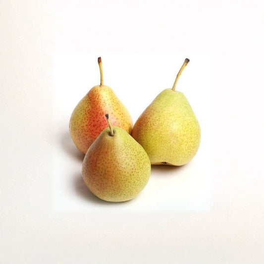 Bartlett Pear – Pyrus communis Live Fruit Tree | 3–4 Feet Tall | Includes 3 Gallon Pot  Classic Sweet Pear | Spring White Blossoms | Fast Growing Variety