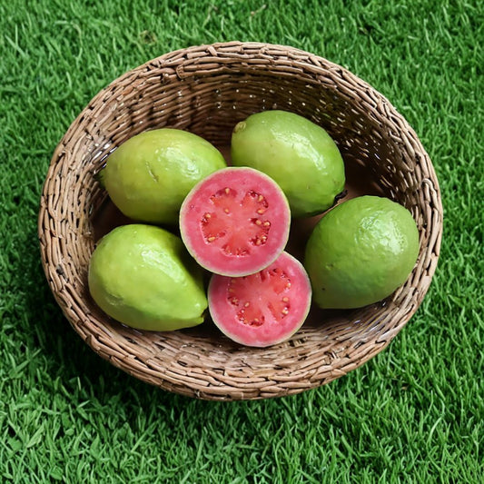 Guava – Psidium guajava 30 Seeds | Tropical Evergreen Fruit Tree  Fast Growing | Fragrant Flowers | Edible Fruit | Container & Bonsai Friendly