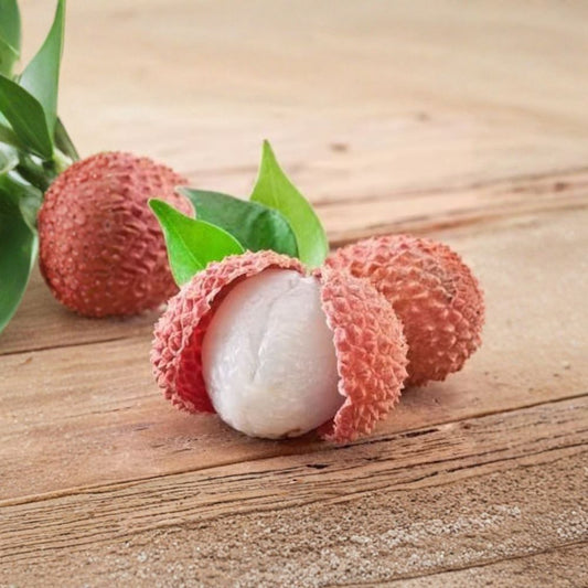 Lychee Tree – Litchi chinensis Live Air-Layered Tree | 1–2 Feet Tall | Includes 6" Nursery Pot  Sweet Tropical Fruit | Airlayered for Strong Roots | Backyard Orchard Ready