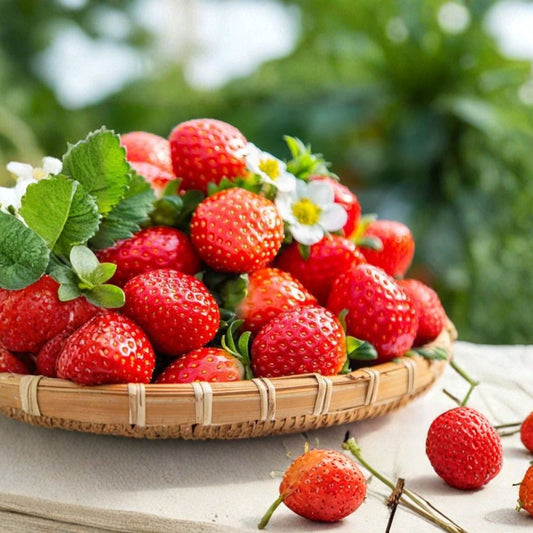 Cream Strawberry – Fragaria spp. 200 Seeds | Hardy Perennial Variety | Fall & Spring Planting  Cold-Resilient | Multi-Color Blooms | Unique Berry Harvest
