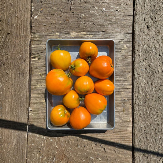 Orange Strawberry Tomato – Solanum lycopersicum 50+ Seeds | Heirloom Style Variety | Easy to Grow  Sweet Fruity Flavor | Unique Strawberry Shape | Great for Home Gardens