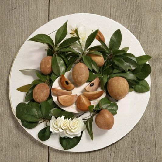 Sapodilla ‘Hasya’ – Manilkara zapota Live Fruit Tree | 2 Feet Tall | Includes 3 Gallon Pot  Sweet Brown Sugar Flavor | Tropical Evergreen | Large Fruit Variety