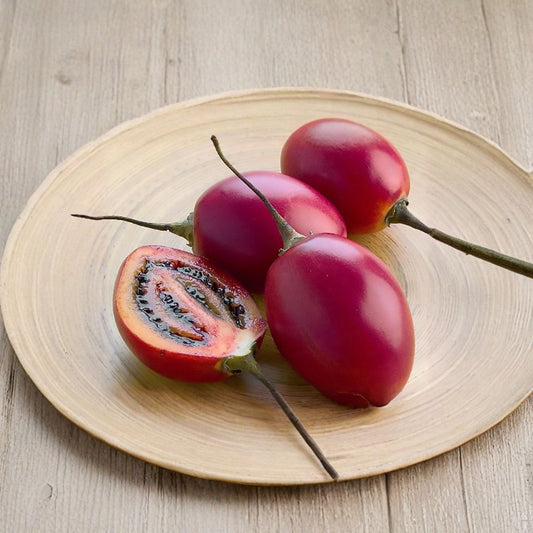 Tamarillo (Tree Tomato) – Cyphomandra betacea 60 Seeds | Fast Growing Subtropical Fruit Tree  Exotic Edible Fruit | Fragrant Flowers | High Yield Potential