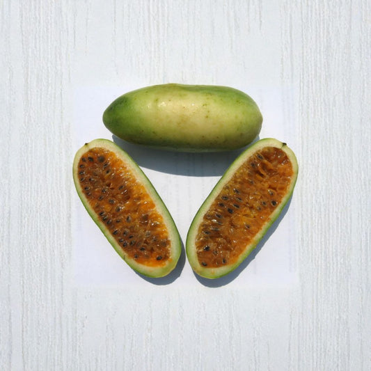 Banana Passion Fruit – Passiflora mollissima 120 Vine Seeds | Fast Growing | Tropical Edible Vine  Evergreen Climbing Vine | Exotic Flowers | Sweet Fruit Producer