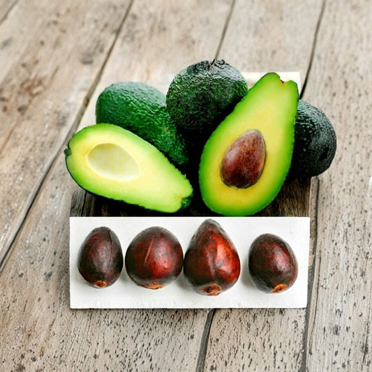 Hass Avocado Seeds + 🌴 Papaya Seeds – Persea americana  5 Hass Avocado Seeds + FREE 20 Papaya Seeds Fresh • Easy to Grow