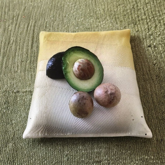 Hass Avocado Seeds – Persea americana  6 Fresh Avocado Seeds Easy to Grow • Great for Gardeners & Gifts