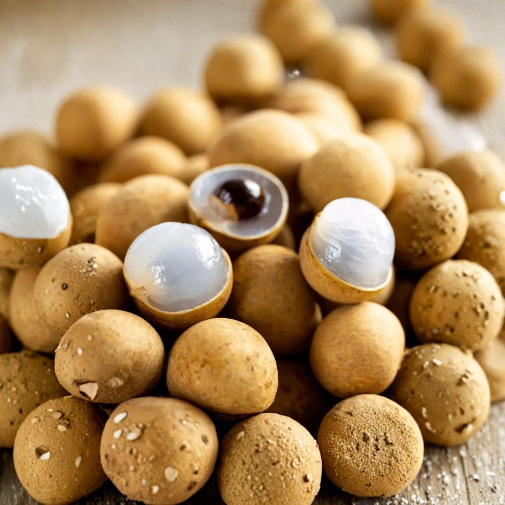 Kohala Longan Seeds – 5 Rare Hawaiian Seeds | Sweetest Longan Variety | Cold Hardy Tropical Fruit | Grow Your Own Longan Tree