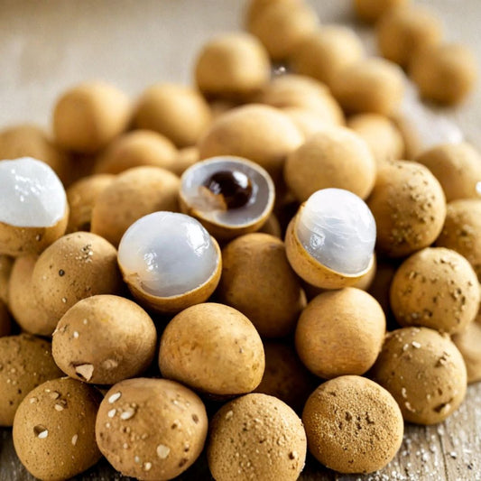 Kohala Longan Seeds – 5 Rare Hawaiian Seeds | Sweetest Longan Variety | Cold Hardy Tropical Fruit | Grow Your Own Longan Tree