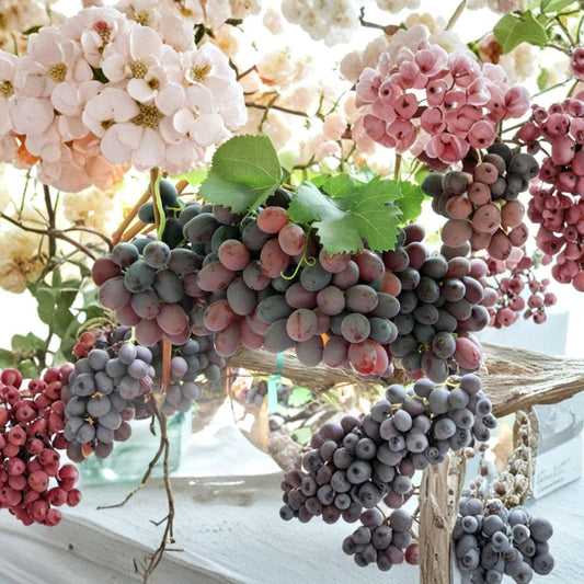 Gum Drop Grape Cuttings – Vitis vinifera Rare Organic Propagation Set | 5 Cuttings 6–8 Inches Long | Rooting or Grafting Vine