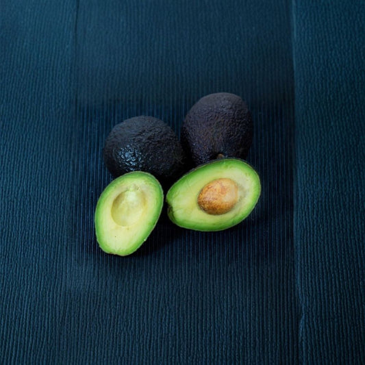Joey Avocado Seeds – Persea americana 2 Organic Seeds | Cold Hardy Variety | Rare Availability  Mexican Variety | Heavy Producer | Zones 8b–11
