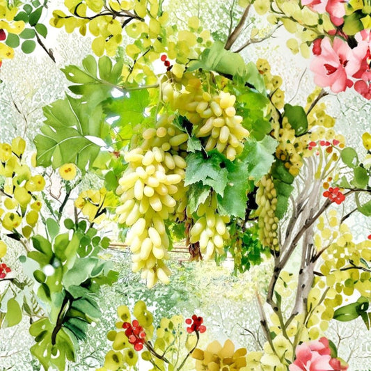 Super Rare Sweet Waterfall Fingers Grape Vine – Live Plant 2–3 Ft Tall | Unique Finger Grapes | Organic Table Grape Vine | Backyard Vineyard Fruit Plant