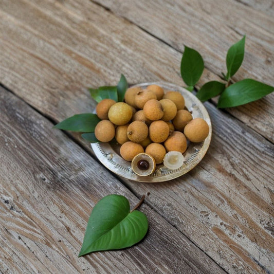 E8 Longan Seeds – 12 Rare Seeds | Super Sweet Dragon Eye Fruit | Tropical Longan Tree | Grow Your Own Exotic Fruit