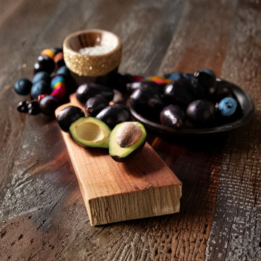 Brogdon Avocado Cuttings – Persea americana Unrooted Avocado Cuttings | 6+ Inches | 2 Pieces Per Order  Cold Hardy Variety | Dark Skin | Excellent Flavor