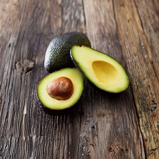 Martin Avocado Seeds – Persea americana  2 Fresh Avocado Seeds | Easy to Grow Viable • Non-GMO • Ready to Plant