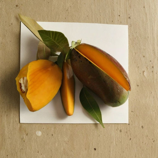 Lancetilla Mango Tree – Mangifera indica Live Grafted Tree | 1.5–4 Ft Tall | Actual Photos  Premium Late Season Variety | Fiberless & Sweet | Ships to All States